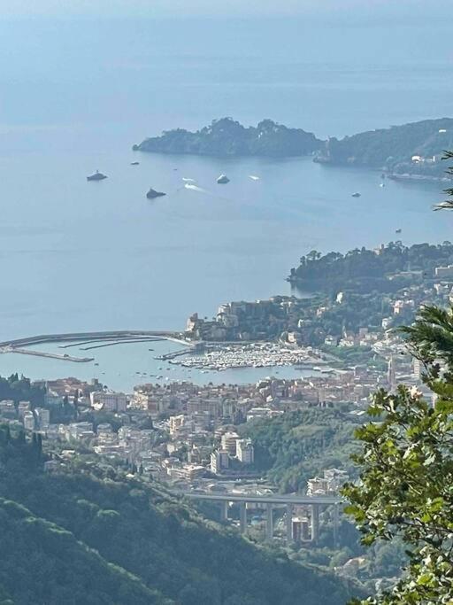 Casa Carmen Rapallo Citra 010046-Lt-2165 エクステリア 写真