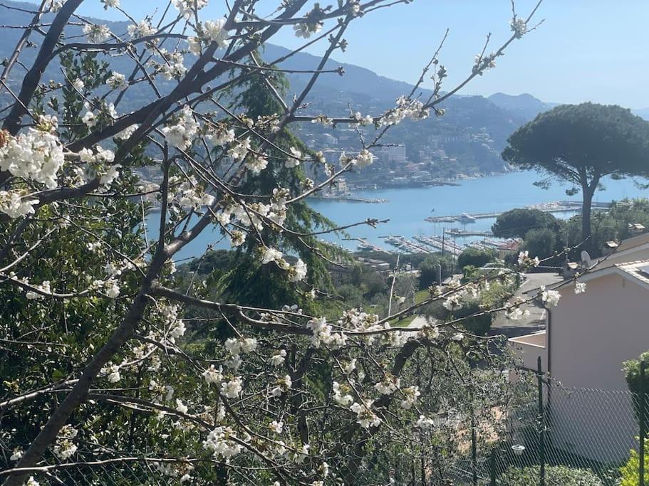 Casa Carmen Rapallo Citra 010046-Lt-2165 エクステリア 写真